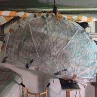 gabbia di protezione per trike vertigo fly product