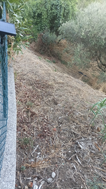 Possibile edificare box