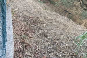 Possibile edificare box