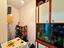 Immagine 19