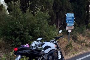 Fz6 s2