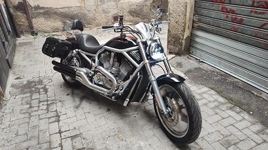 Harley Davidson V-rod 