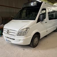 Mercedes benz 515 cdi allestimento tomassini