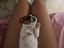 Immagine 3