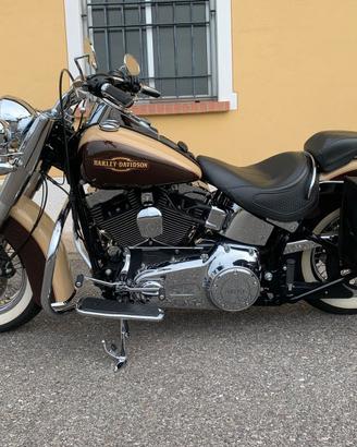 Harley Davidson 