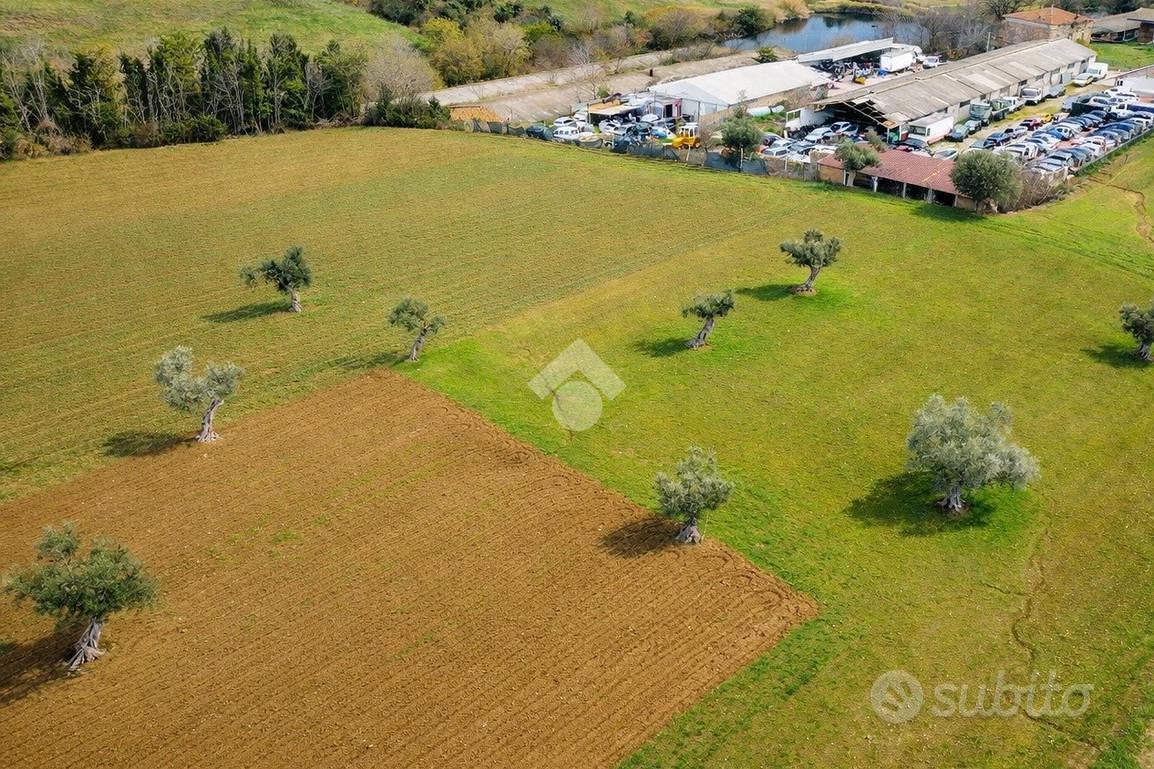TERRENO A MORRO D'ORO - Vista 3