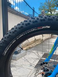 Mountain bike mod fat bike