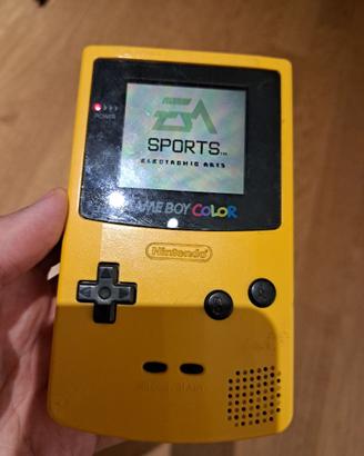 Game Boy Color