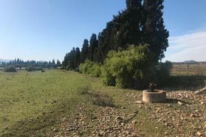 Terreno agricolo di mq 12500 edificabile