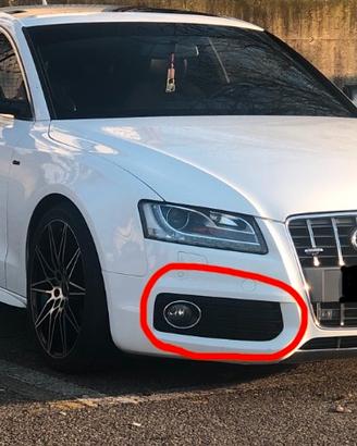 Griglie fendinebbia Audi A5 S Line Originali