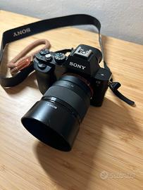 Sony Alpha 7 + Sony 50mm F/1.8