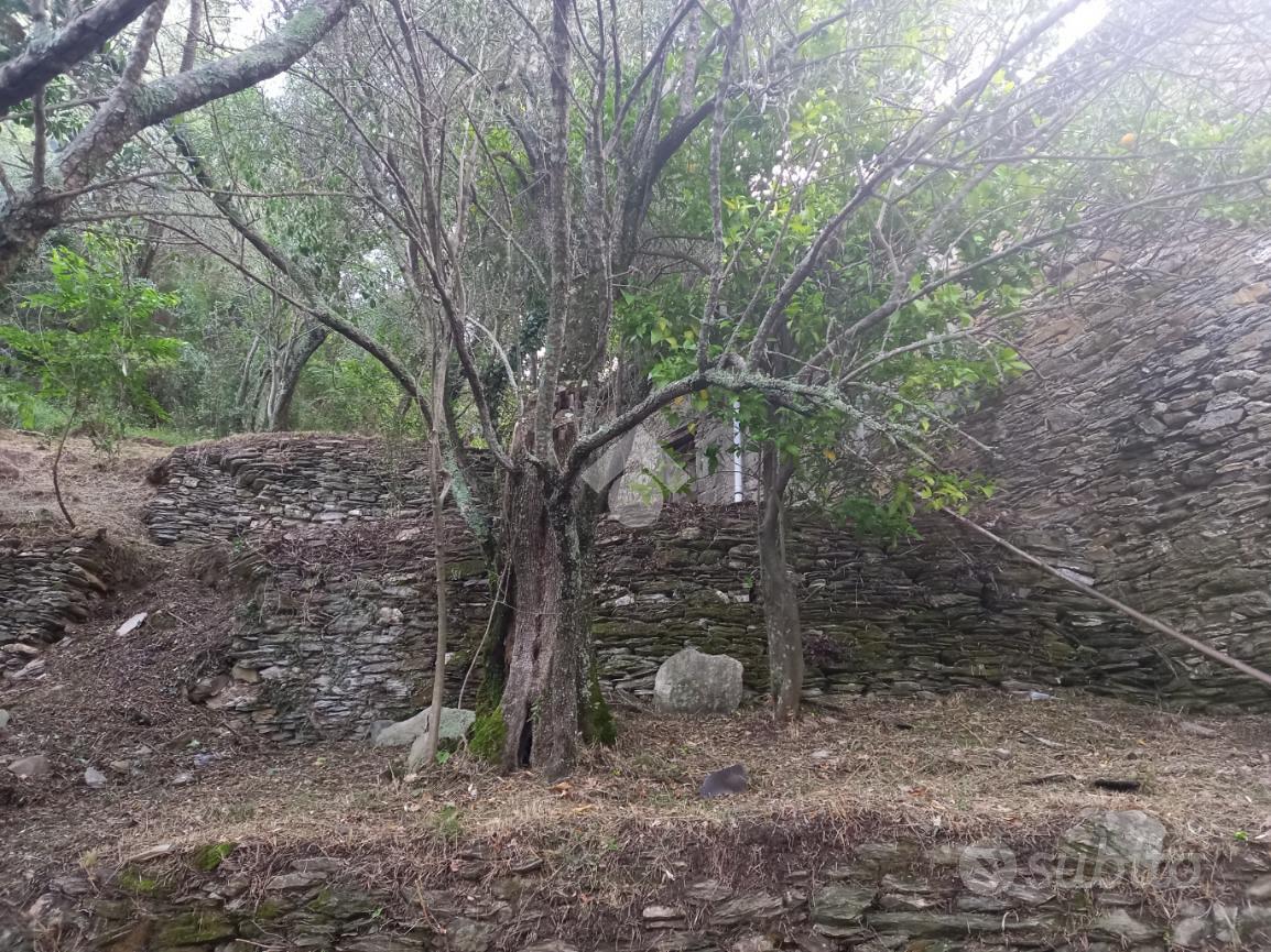 RUSTICO A CARASCO - Altro