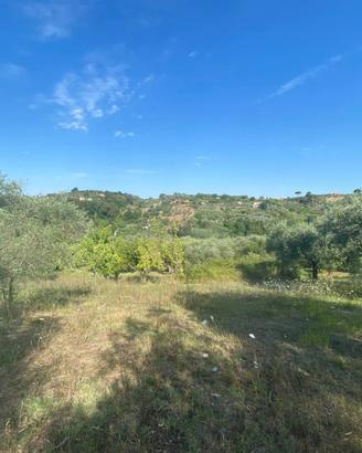 Terreno a palombara sabina