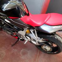 moto MV AGUSTA 910 Brutale RR Testa Rossa