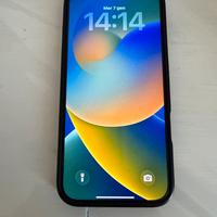 iPhone 16 Pro Max 256 GB in garanzia