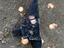 Immagine 3