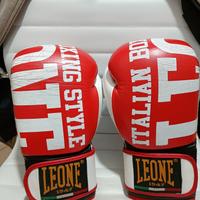 Guantoni Leone 10 OZ boxe 