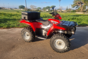 Quad polaris 500