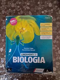 Libro scolastico
