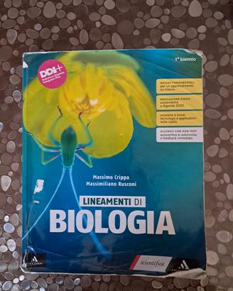 Libro scolastico