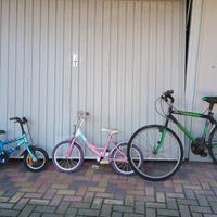 bici da bambino e una da adulto.