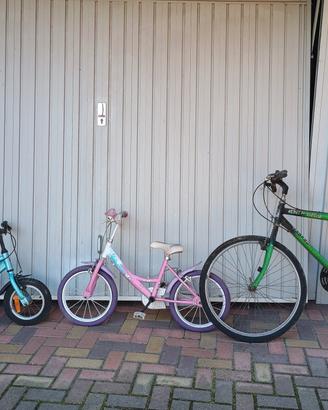 bici da bambino e una da adulto.