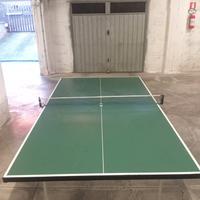 tavolo da ping pong