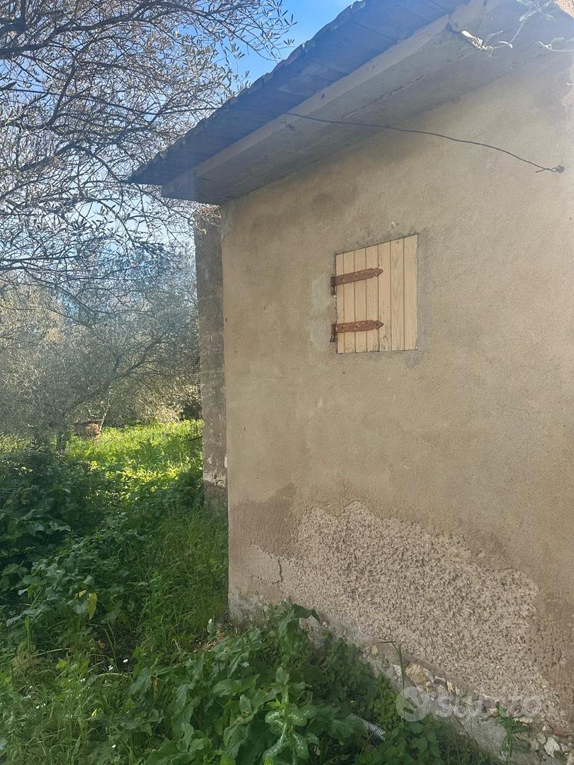 La Tiribba piccolo rifugio con terreno-frutteto - Altro