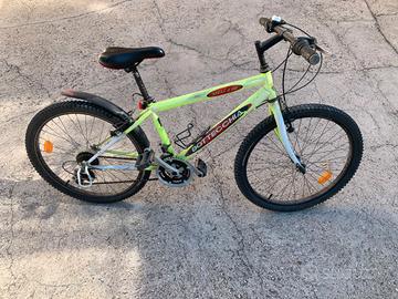 Bicicletta bottecchia
