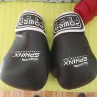guantoni boxe sphinx 
