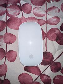 Apple magic mouse