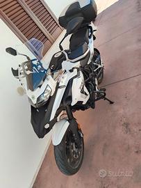 Benelli trk 502 del 2023