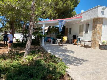 Casa vacanze a TORREOVO MARINA DI TORRICELLA TARA