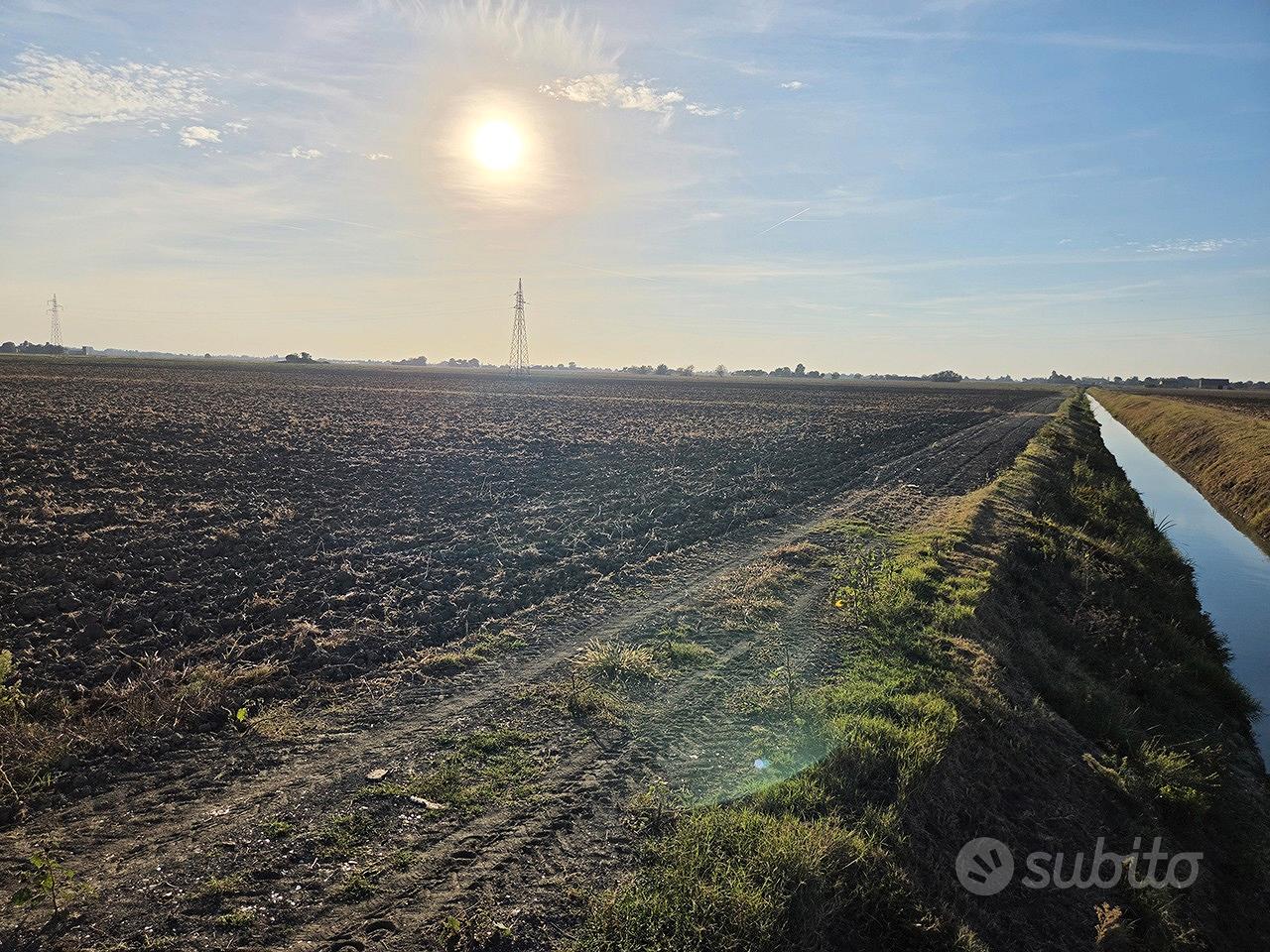 Terreno Agricolo 8,5Ha Irrigabile Copparo - Vista 3