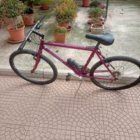 Mountain bike 