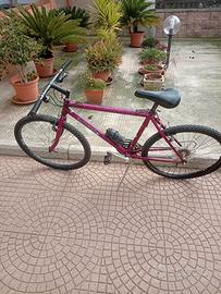 Mountain bike 