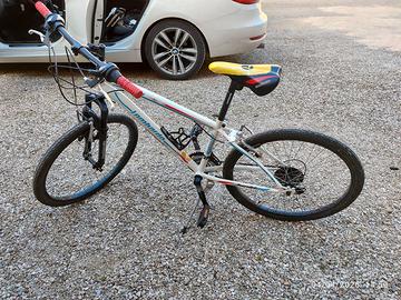 Bicicletta Lombardo Tropea 24