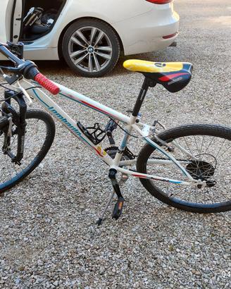 Bicicletta Lombardo Tropea 24