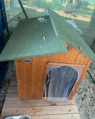 Cuccia cane