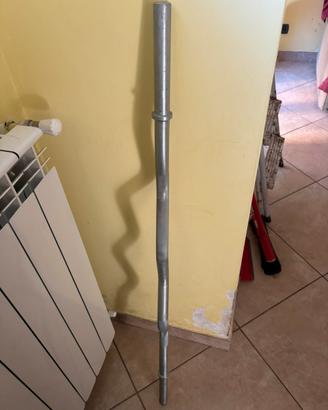 Pesi bilanciere e sbarra