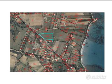 Terreno agricolo Tertenia Sarrala