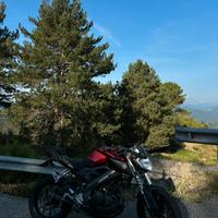 Yamaha Mt 125