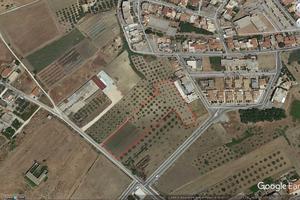 Castelvetrano Terreno Agricolo Via Catullo