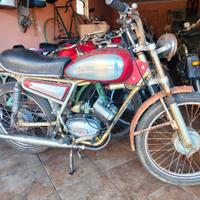 Giulietta Peripoli replica ducati scrambler 