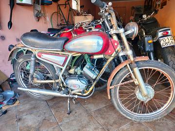 Giulietta Peripoli replica ducati scrambler 