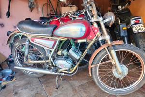 Giulietta Peripoli replica ducati scrambler 