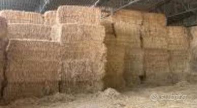 Balle paglia alimentare