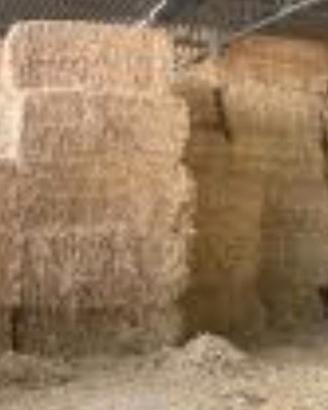 Balle paglia alimentare