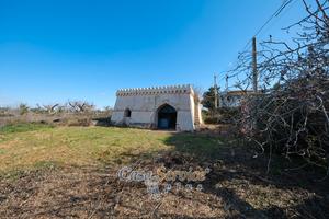 Alezio rudere da ristrutturare 2 ettari di terreno