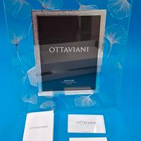 Cornice Ottaviani 6000 Soff Ginkgo 25x35 ZYQ 00069